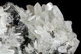 Lustrous Hubnerite and Quartz Crystal Association - Peru #173306-3